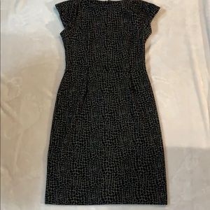 Calvin Klein Cheetah Dress